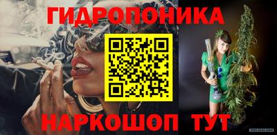 шишки Коммунар